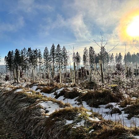 Appartamento 17 Am Berg Winterberg Esterno foto