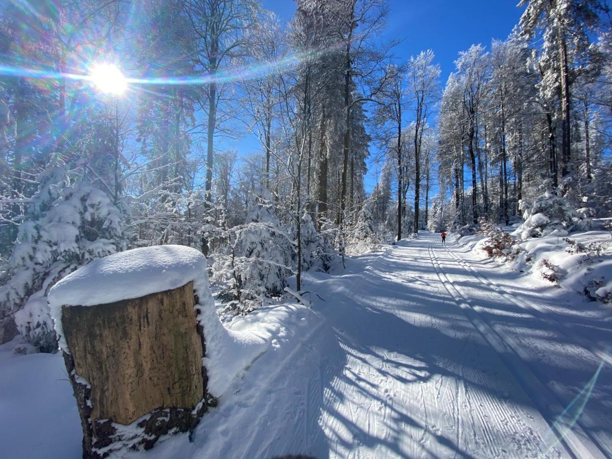 Appartamento 17 Am Berg Winterberg Esterno foto