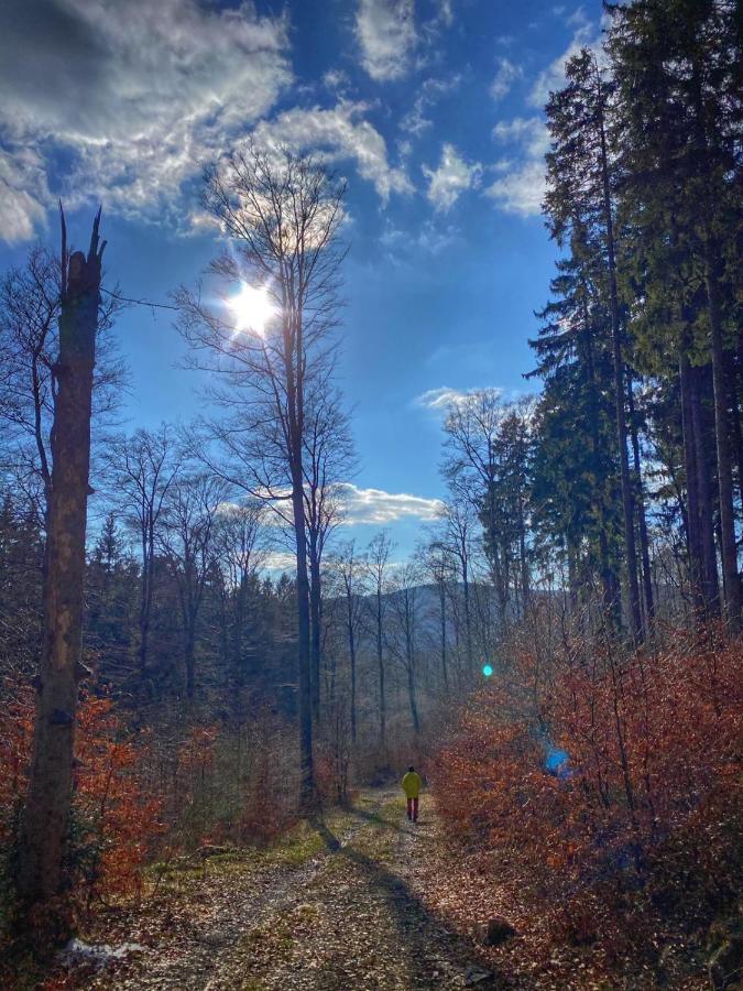 Appartamento 17 Am Berg Winterberg Esterno foto