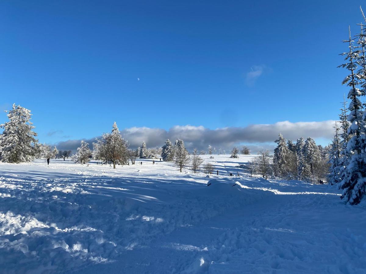 Appartamento 17 Am Berg Winterberg Esterno foto