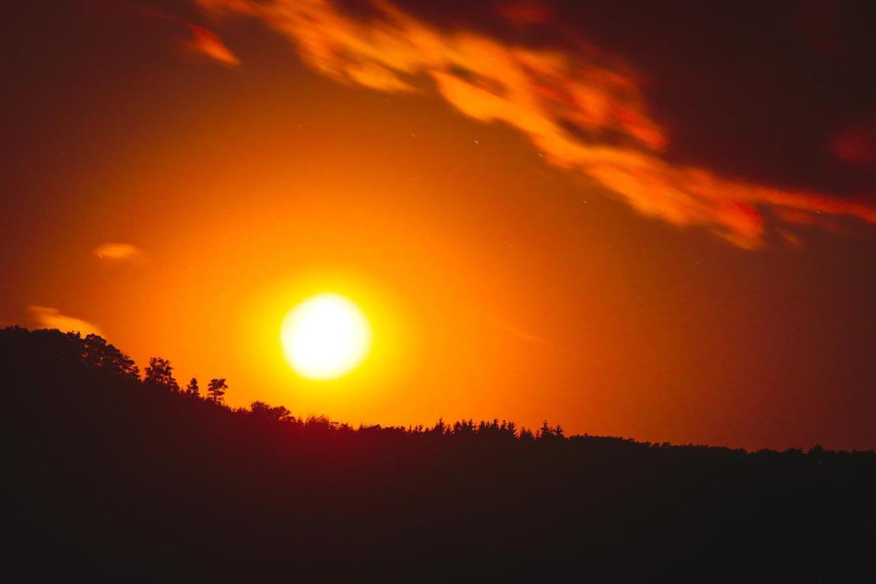Appartamento 17 Am Berg Winterberg Esterno foto