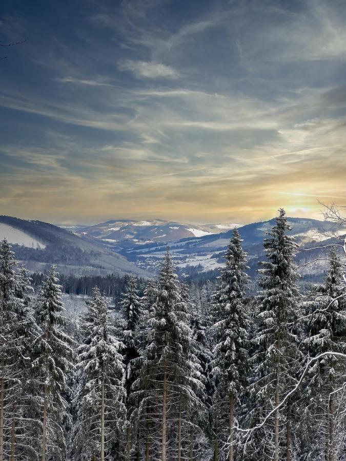 Appartamento 17 Am Berg Winterberg Esterno foto