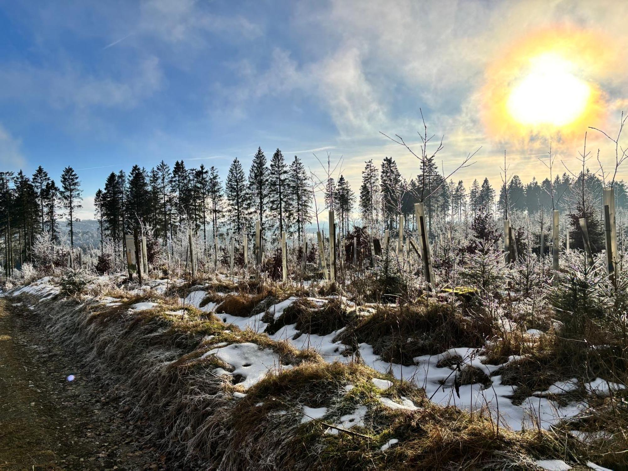 Appartamento 17 Am Berg Winterberg Esterno foto